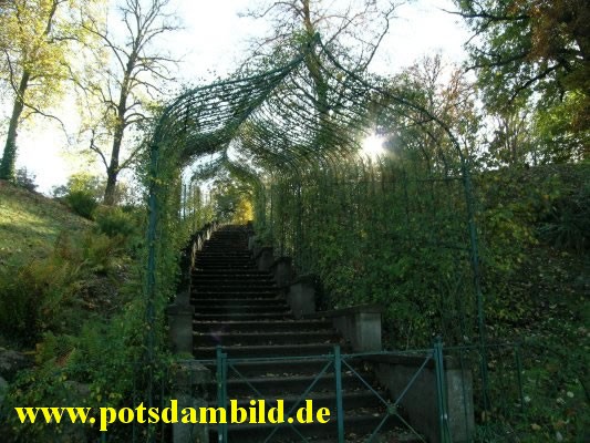 020 - Treppe auf den Babelsberg