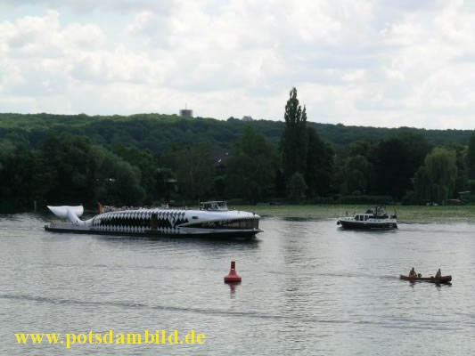 Blick nach Hermannswerder mit Wal-Schiff