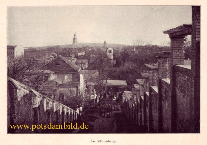 Die Brandenburger Vorstadt Potsdams - Am Mhlenberge